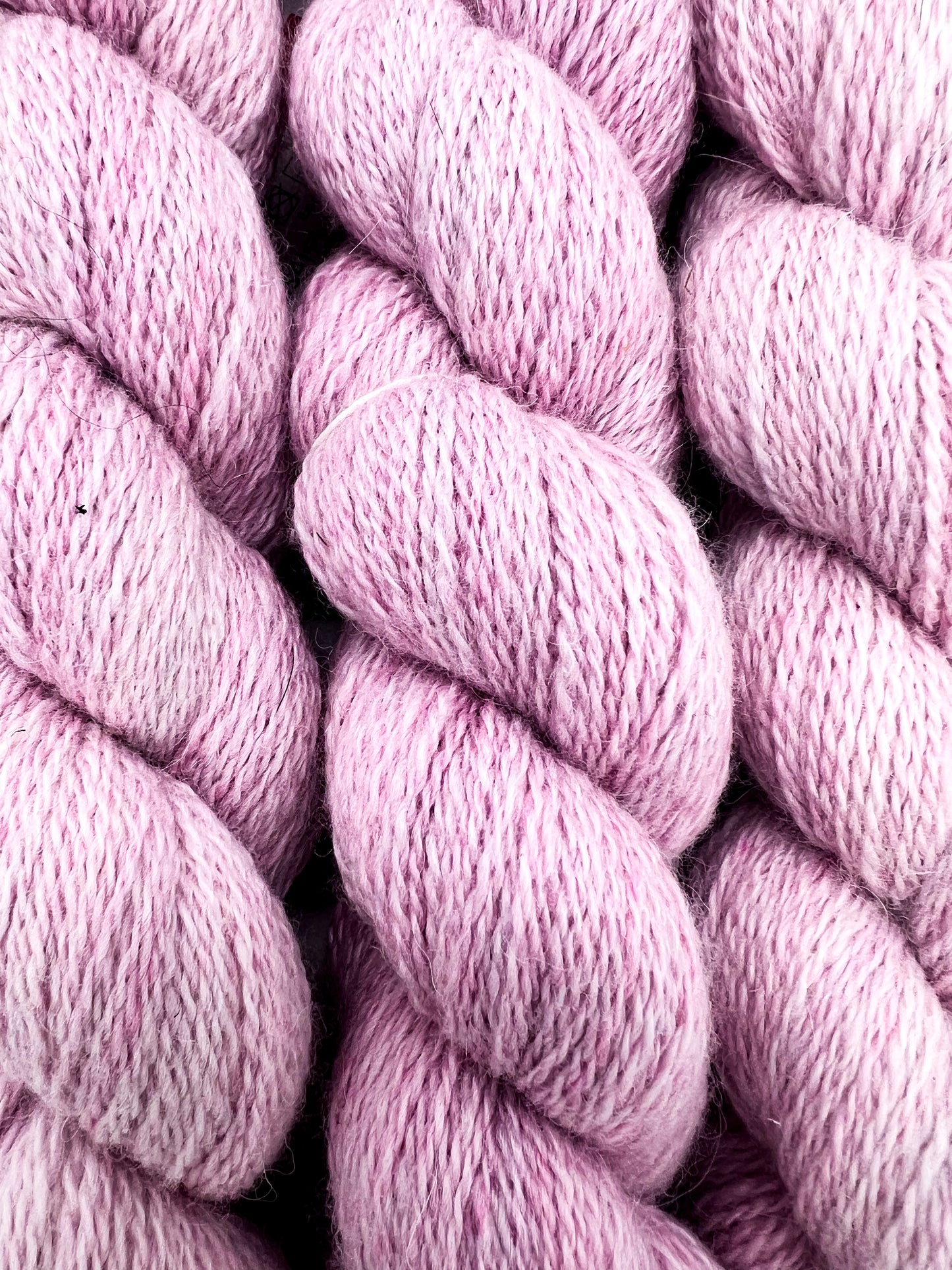 Pink Blossoms