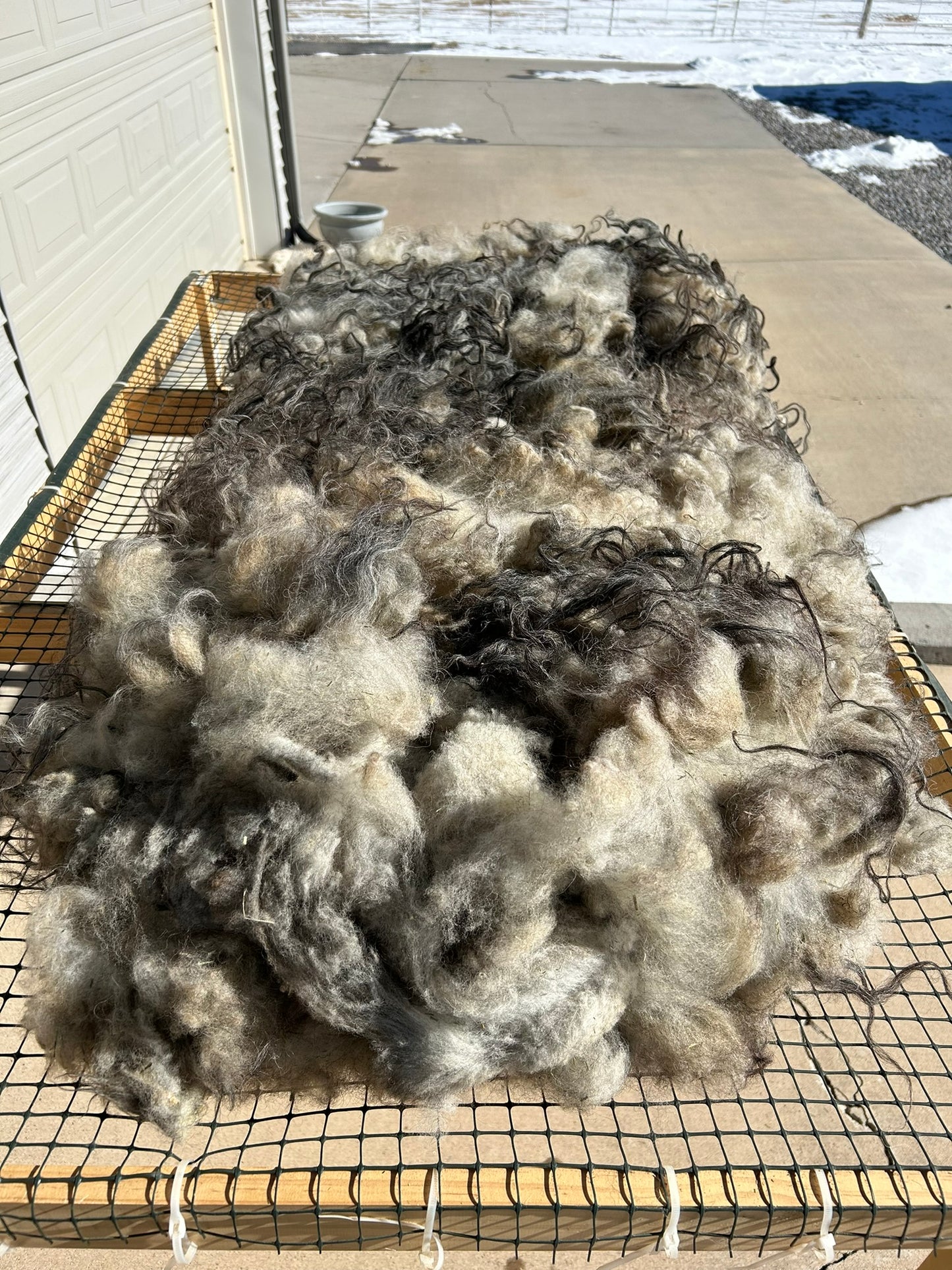 Icelandic Raw Fleece "Widow"