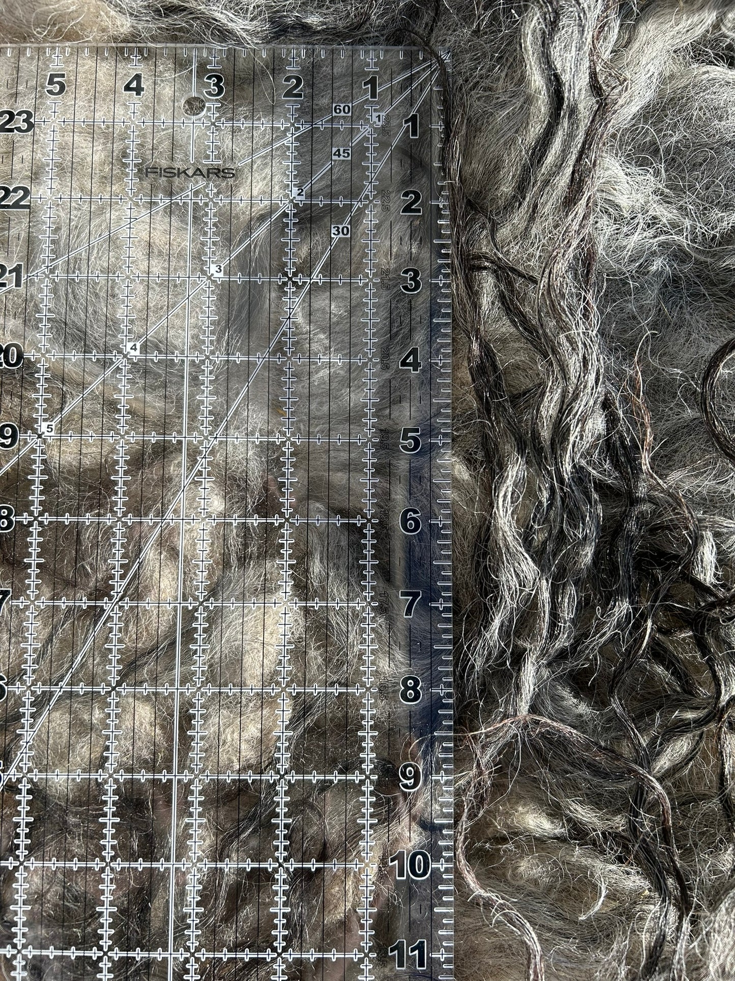 Icelandic Raw Fleece "Widow"